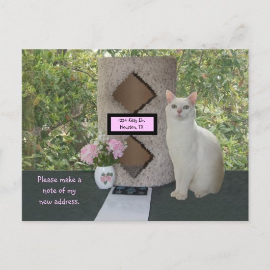 Vrouwelijk Nieuw Adres Briefkaart (Voorkant)