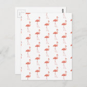 Vrouwelijk roze Flamingo patroon Briefkaart (Voorkant / Achterkant)