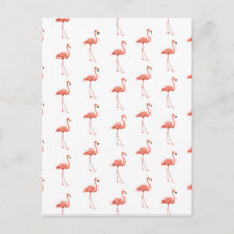 Vrouwelijk roze Flamingo patroon