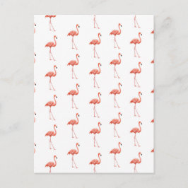 Vrouwelijk roze Flamingo patroon Briefkaart