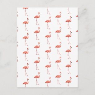 Vrouwelijk roze Flamingo patroon Briefkaart