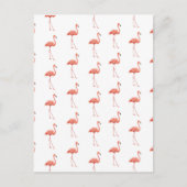 Vrouwelijk roze Flamingo patroon Briefkaart (Voorkant)