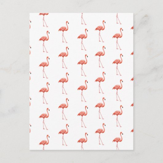 Vrouwelijk roze Flamingo patroon Briefkaart (Voorkant)