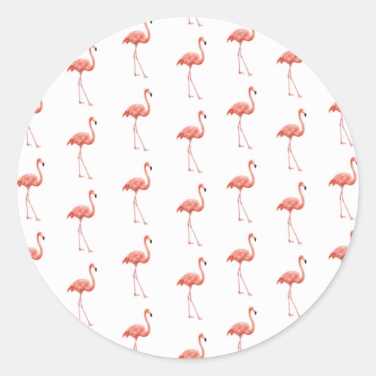 Vrouwelijk roze Flamingo patroon Ronde Sticker (Voorkant)