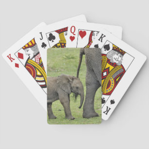 Vrouwelijke Afrikaanse Olifant met Baby Speelkaarten