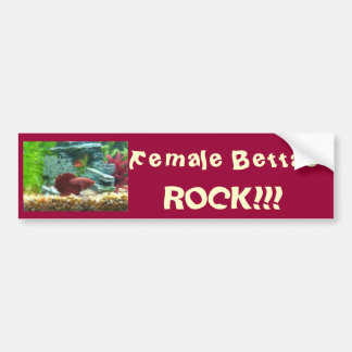 Vrouwelijke Bettas zijn fantastisch!!! Bumperstick Bumpersticker