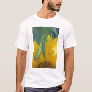 Vrouwelijke bidsprinkhaan t-shirt
