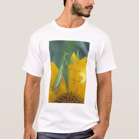 Vrouwelijke bidsprinkhaan t-shirt (Voorkant)