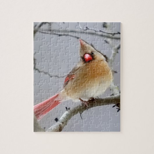 Vrouwelijke_cardinal_puzzel Legpuzzel (Verticaal)