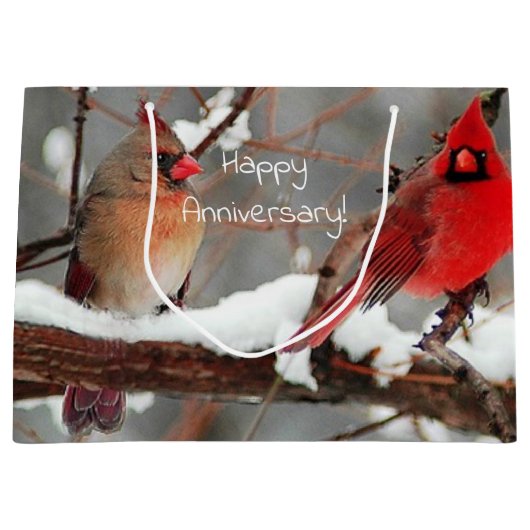 Vrouwelijke en vrouwelijke verjaardagsverjaardagsf groot cadeauzakje (Voorkant)