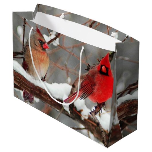 Vrouwelijke en vrouwelijke verjaardagsverjaardagsf groot cadeauzakje (Achterkant Gekanteld)