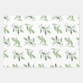 Vrouwelijke Eucalyptus & Blush Wrapping Papier Bla Inpakpapier Vel (Voorkant 3)