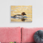 Vrouwelijke gewone brilduiker canvas afdruk (Insitu (Woonkamer))