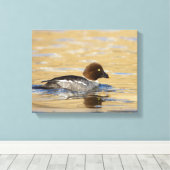 Vrouwelijke gewone brilduiker canvas afdruk (Insitu (Houten vloer))