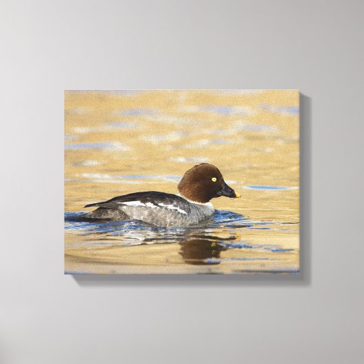 Vrouwelijke gewone brilduiker canvas afdruk (Voorkant)