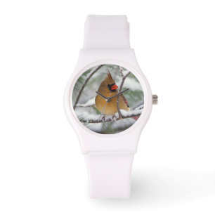 Vrouwelijke kardinaal in besneeuwde pijnboom, horloge