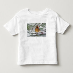 Vrouwelijke kardinaal in besneeuwde pijnboom, kinder shirts