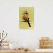 Vrouwelijke Kardinaal Zangvogel Poster (Keuken)