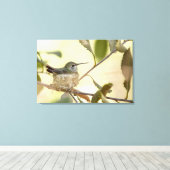 Vrouwelijke kolibrie op haar nest canvas afdruk (Insitu (Houten vloer))