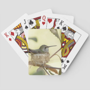 Vrouwelijke kolibrie op haar nest pokerkaarten