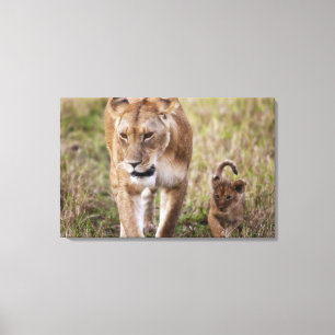 Vrouwelijke Leeuw met Welp Canvas Afdruk