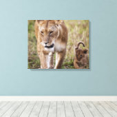 Vrouwelijke Leeuw met Welp Canvas Afdruk (Insitu (Houten vloer))
