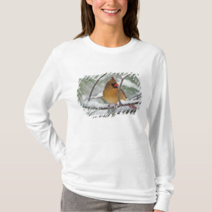 Vrouwelijke noordelijke kardinaal in besneeuwde pi t-shirt