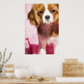 Vrouwelijke Puppy King Charles Spaniel Poster (Keuken)