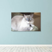 Vrouwelijke Ragdoll kat Canvas Afdruk (Insitu (Houten vloer))