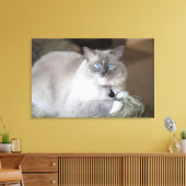 Vrouwelijke Ragdoll kat Canvas Afdruk (Insitu (Woonkamer))