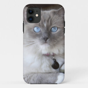Vrouwelijke Ragdoll kat Case-Mate iPhone Case