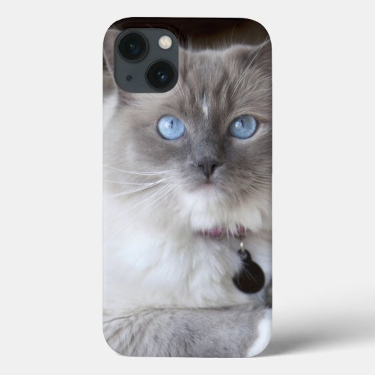 Vrouwelijke Ragdoll kat Case-Mate iPhone Case (Achterkant)