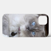 Vrouwelijke Ragdoll kat Case-Mate iPhone Case (Achterkant (horizontaal))