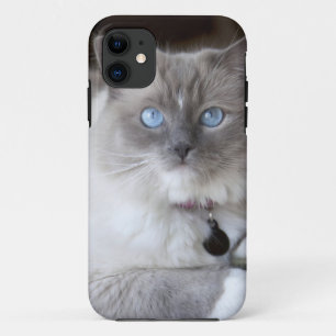Vrouwelijke Ragdoll kat Case-Mate iPhone Case
