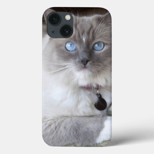 Vrouwelijke Ragdoll kat Case-Mate iPhone Case (Achterkant)