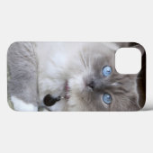 Vrouwelijke Ragdoll kat Case-Mate iPhone Case (Achterkant (horizontaal))