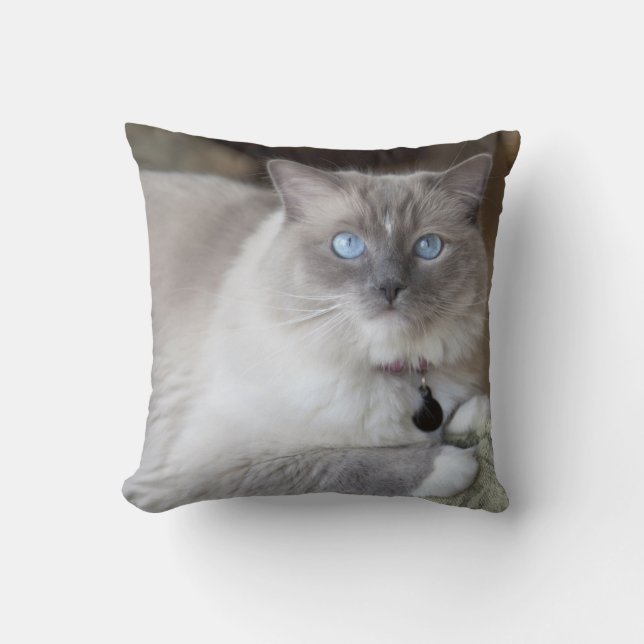Vrouwelijke Ragdoll kat Kussen (Voorkant)