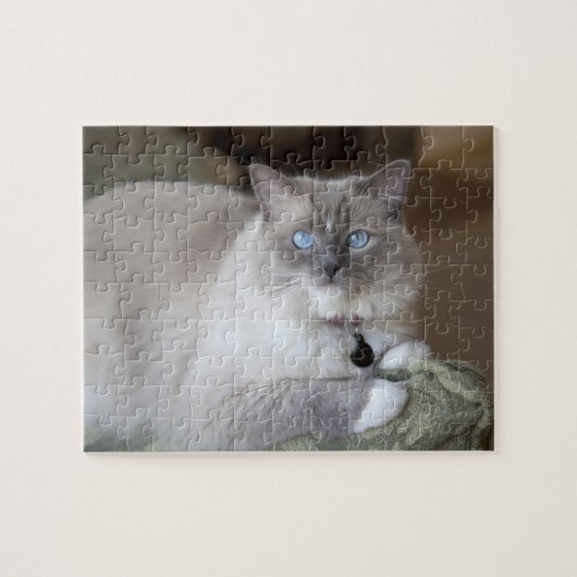 Vrouwelijke Ragdoll kat Legpuzzel (Horizontaal)
