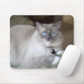 Vrouwelijke Ragdoll kat Muismat (Met muis)