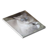 Vrouwelijke Ragdoll kat Notitieblok (Schuin)