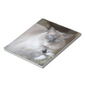 Vrouwelijke Ragdoll kat Notitieblok (Linkerzijde)