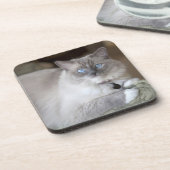 Vrouwelijke Ragdoll kat Onderzetter (Linkerzijde)