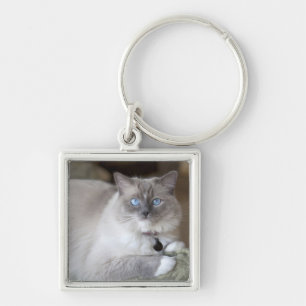 Vrouwelijke Ragdoll kat Sleutelhanger