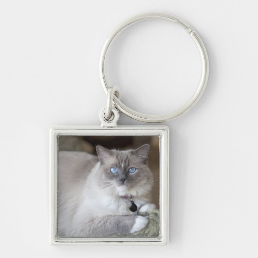 Vrouwelijke Ragdoll kat Sleutelhanger (Voorkant)