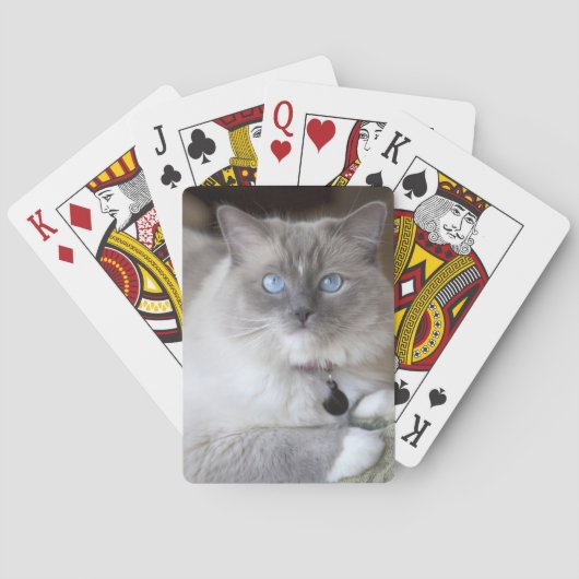 Vrouwelijke Ragdoll kat Speelkaarten (Achterkant)