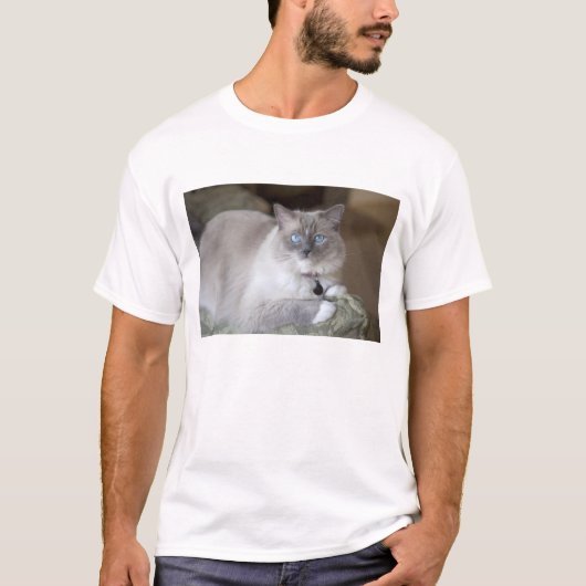 Vrouwelijke Ragdoll kat T-shirt (Voorkant)