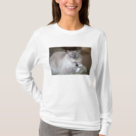 Vrouwelijke Ragdoll kat T-shirt (Voorkant)