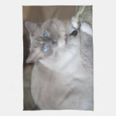 Vrouwelijke Ragdoll kat Theedoek (Verticaal)