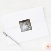 Vrouwelijke Ragdoll kat Vierkante Sticker (Envelop)