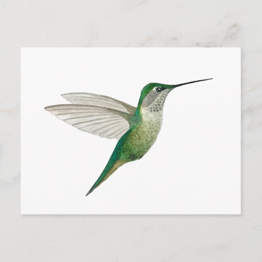 Vrouwelijke robijnkeelkolibrie briefkaart (Voorkant)